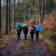 4 people hiking