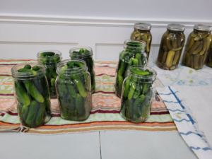 canning pickles