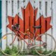 fence with canada maple leaf painted on it