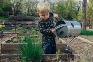 gardening raised beds