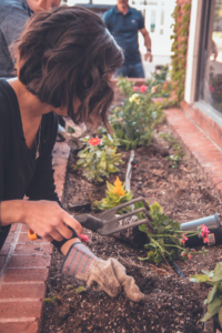 gardening raised beds