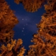 big dipper at night