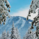 winter mountain scene