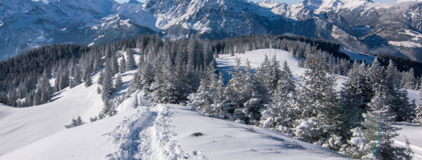 hiking in the winter