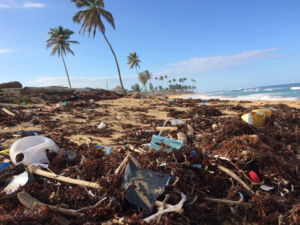 garbage washed up on shore