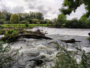 flooded river