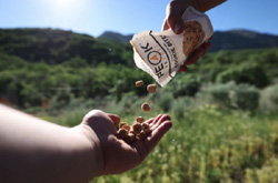 Peak Refuel Peanut Butter Cookie Bites