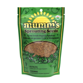 Alfalfa Organic Sprouts - 125 gram