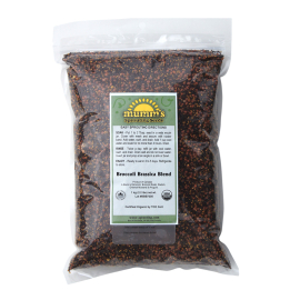 Organic Broccoli Sprouting Seeds - 1kg