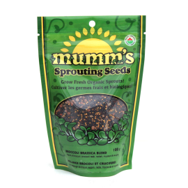 Organic Broccoli Sprouting Seeds - 100 grams