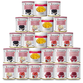 Deluxe Freeze Dried Fruit 24 Pack