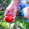 XStream Water Filter Straw