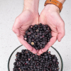 Blueberries - Freeze Dried