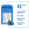 Hydration Mix - Blue Raspberry - 315g (BioSteel)