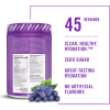 Hydration Mix - Grape - 315g (BioSteel)