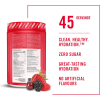 Hydration Mix - Mixed Berry - 315g (BioSteel)