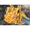 Spaghetti with Meat Sauce (Foundation Outdoors Pouch) Wet
