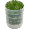 Round Kitchen Crop Sprouter with 4 Trays