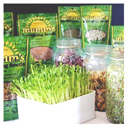 Sprouts