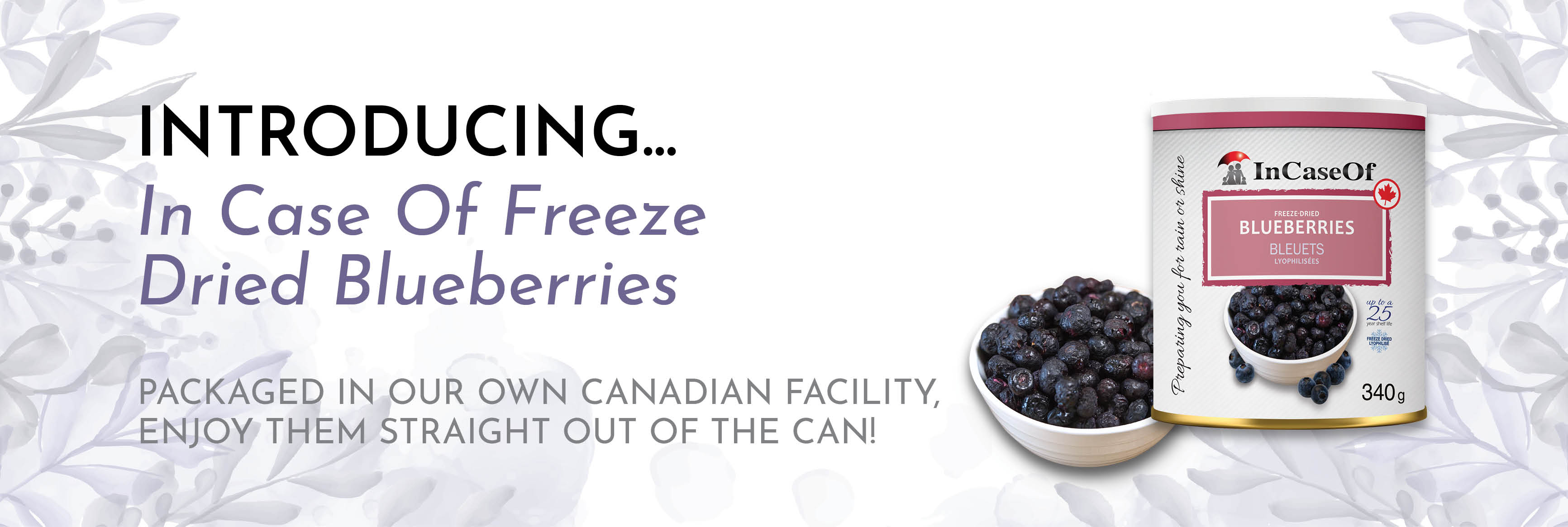 In Case of Freeze Dried Blueberries now available
