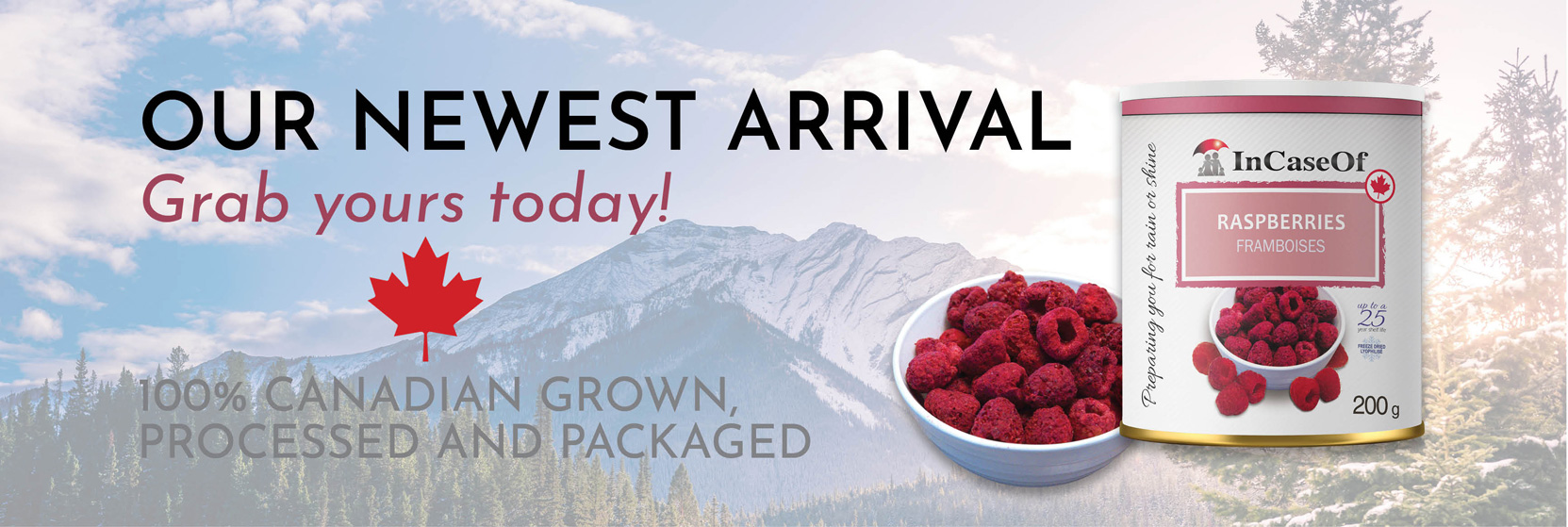 100% Canadian Freeze Dried Raspberries now available